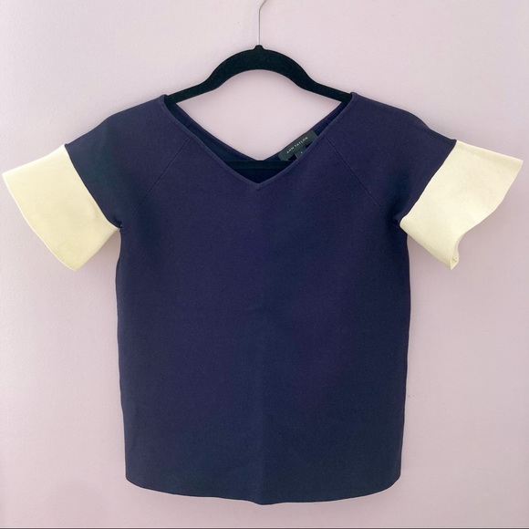 [New] ANN TAYLOR Size S Knit Navy Blue V-neck top with white flutter sleeves - Picture 1 of 2